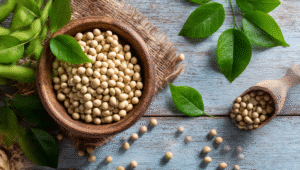 All About Insoya: Benefits, Uses, and Innovations