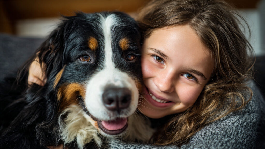 petdardas com Pet Care Tips You Can Trust petdardas com Pet Care Tips You Can Trust