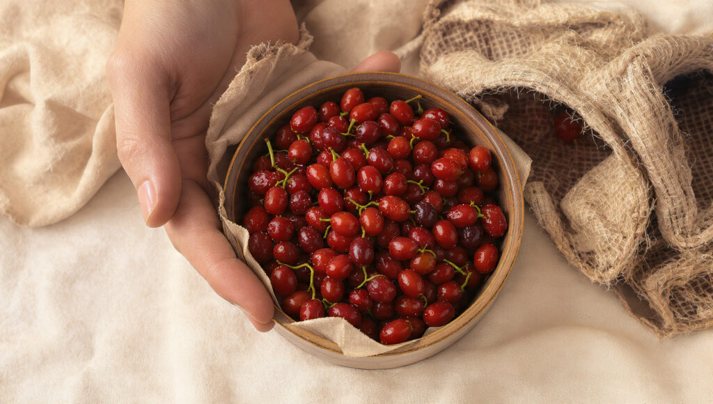 Žižole: Hidden Mediterranean Superfruit You Need to Know Žižole: Hidden Mediterranean Superfruit You Need to Know